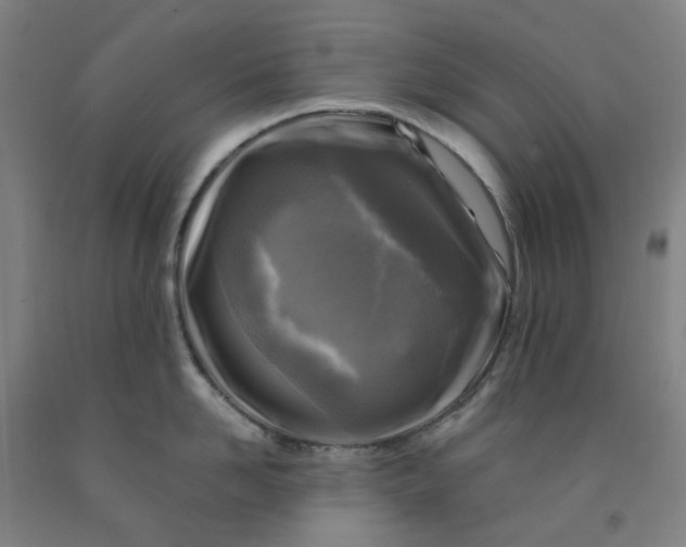 X0000091980958200709271424