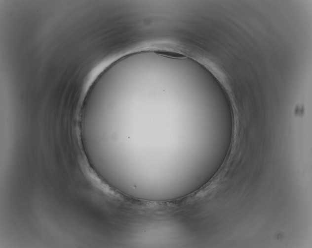 X0000091980960200709271424