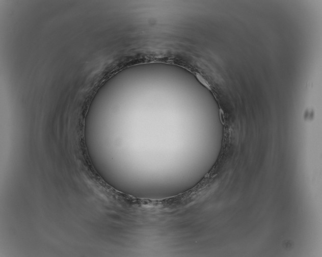 X0000091980961200709271424