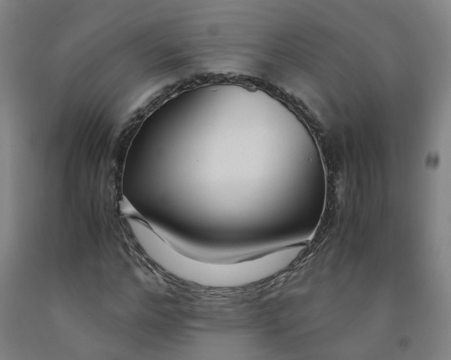 X0000091980968200709271424