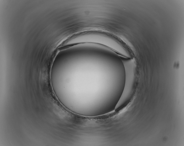 X0000091980969200709271424