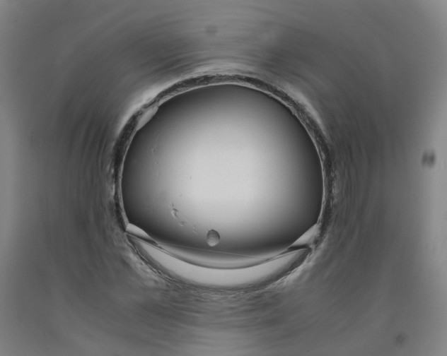 X0000091980973200709271424
