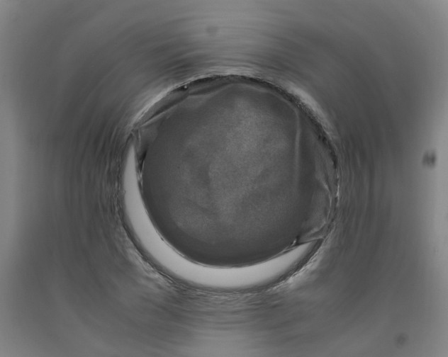 X0000091980977200709271423