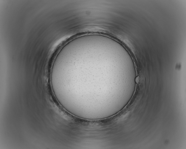 X0000091980979200709271423