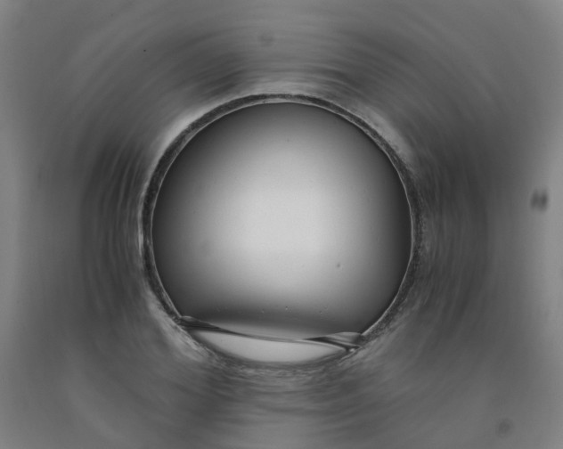 X0000091980980200709271423