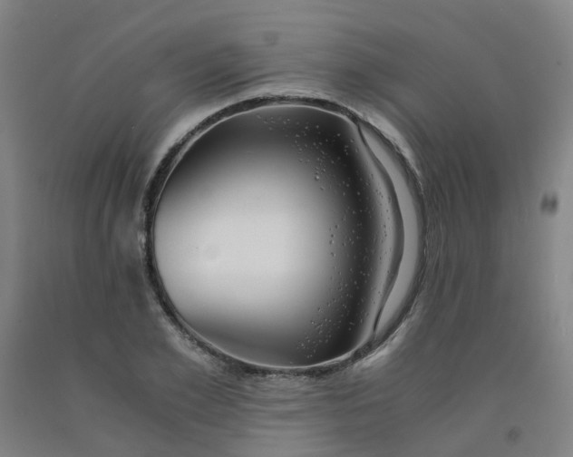 X0000091980981200709271423