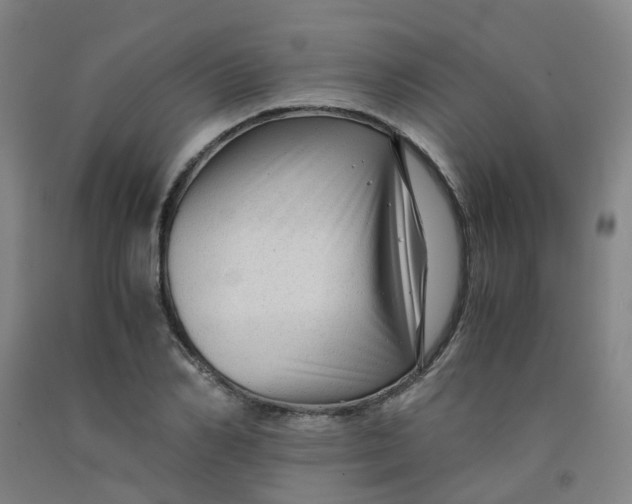 X0000091980982200709271423