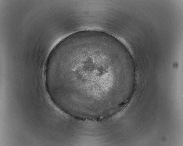 X0000091980983200709271423