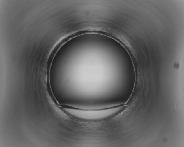 X0000091980984200709271423