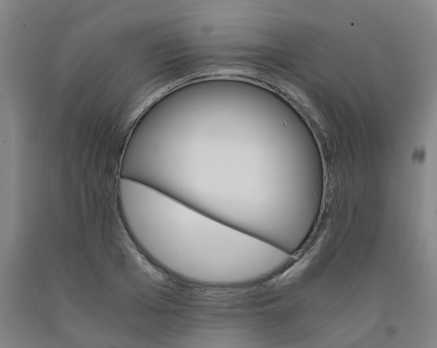 X0000091980985200709271423