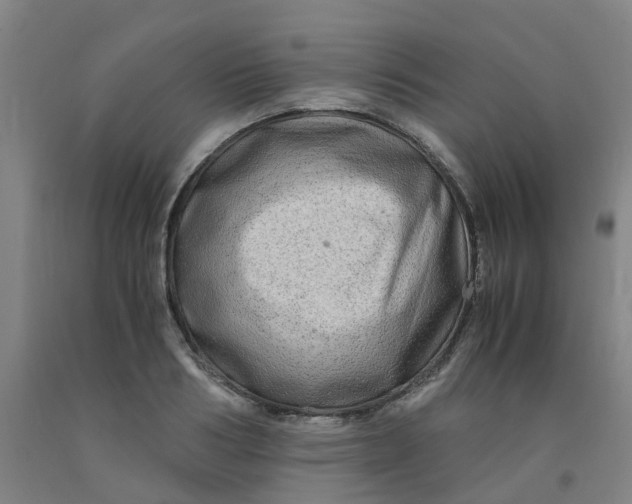 X0000091980986200709271423