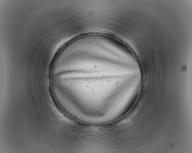 X0000091980987200709271423