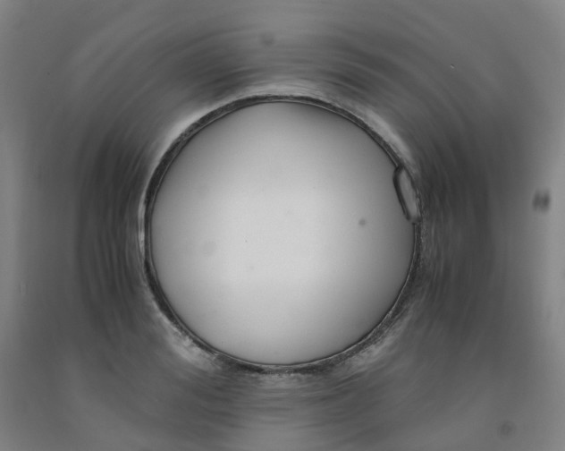 X0000091980988200709271423