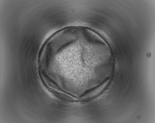 X0000091980990200709271423