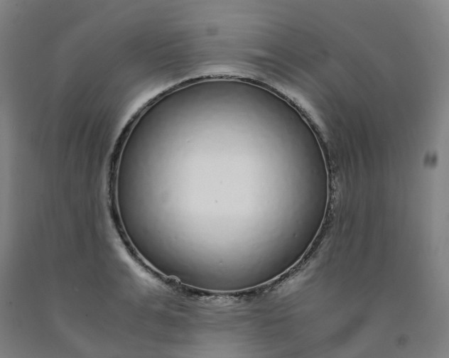 X0000091980991200709271423