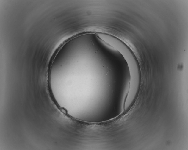 X0000091980992200709271423