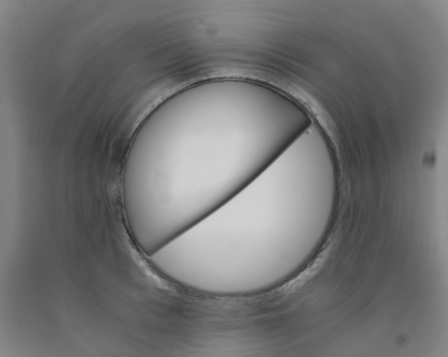 X0000091980993200709271423