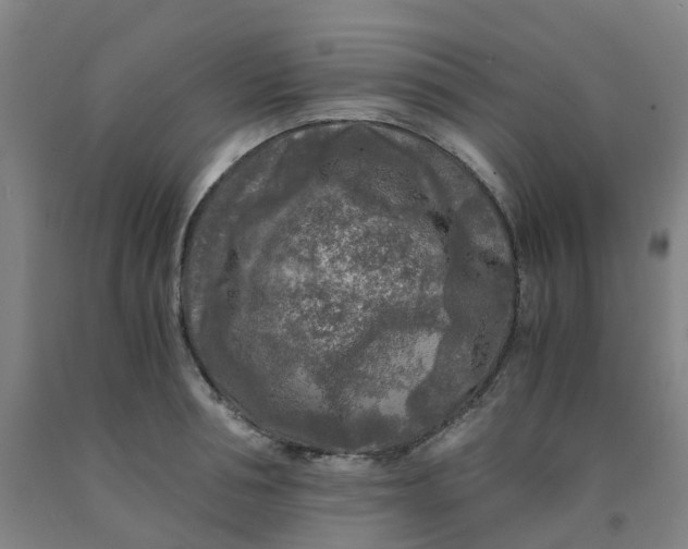 X0000091980994200709271423