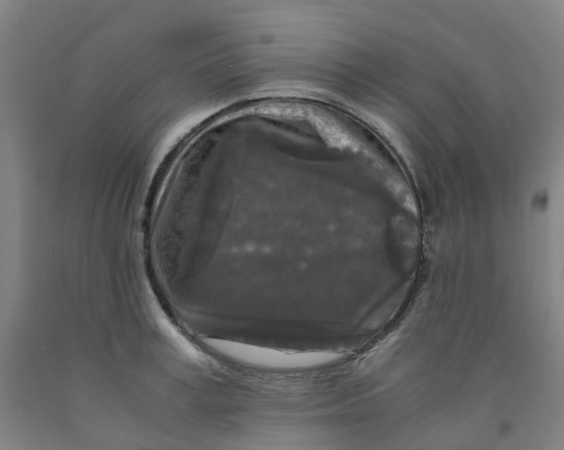 X0000091980995200709271423