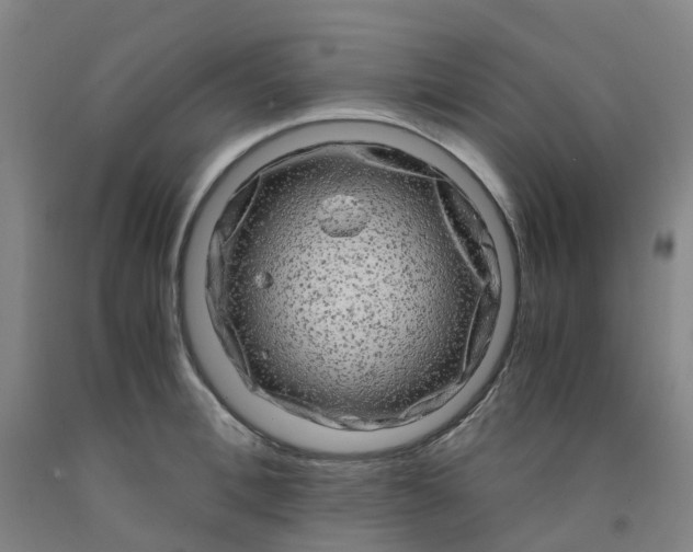 X0000091980996200709271423