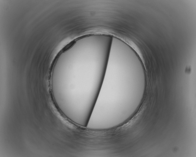 X0000091980997200709271423