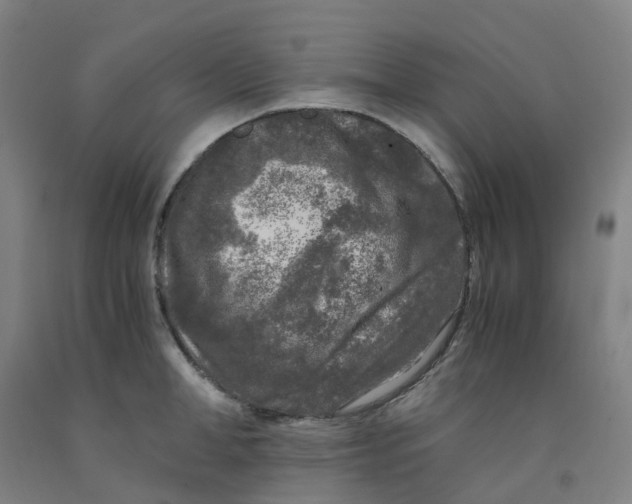 X0000091980998200709271423