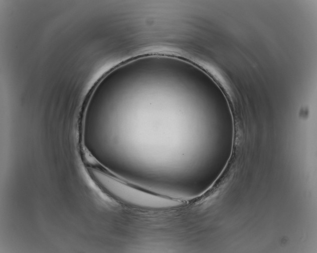 X0000091980999200709271423