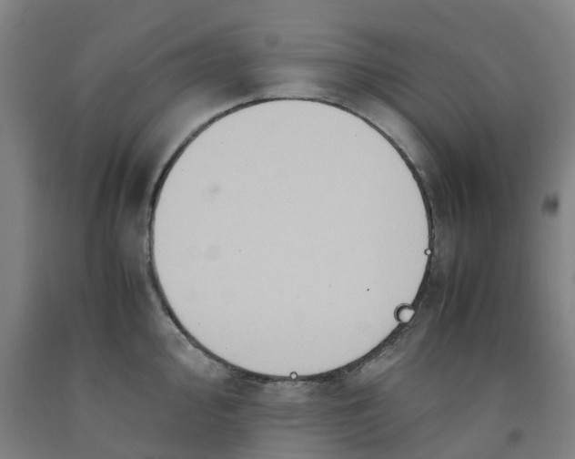 X0000091981000200709271423