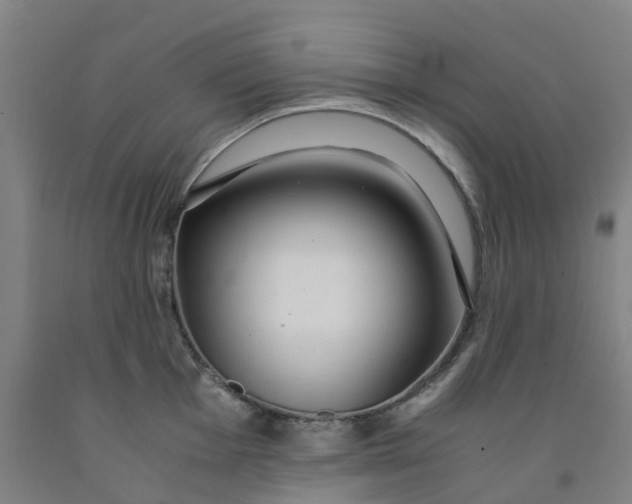 X0000091981001200709271423