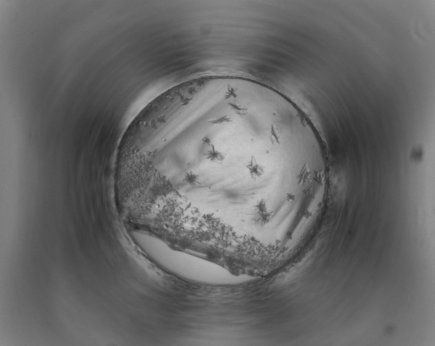 X0000091981002200709271423