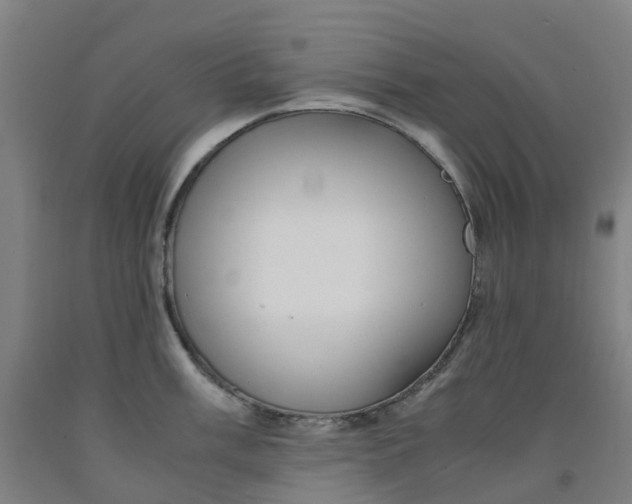 X0000091981003200709271423