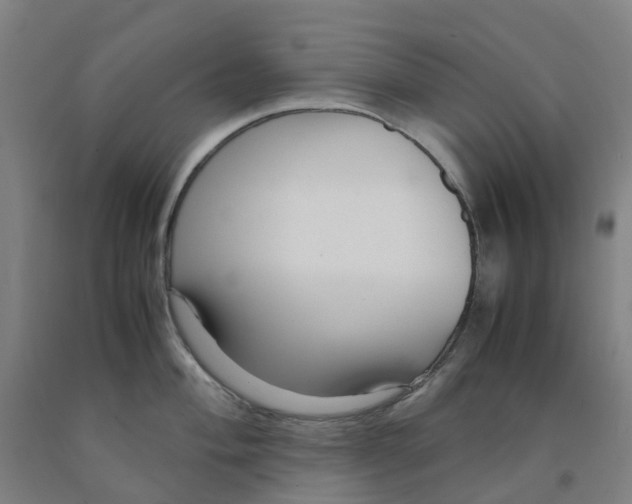 X0000091981004200709271423