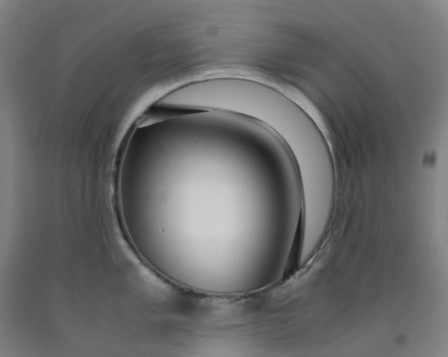 X0000091981005200709271423