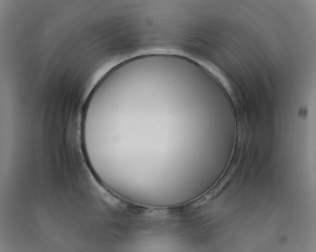 X0000091981006200709271423