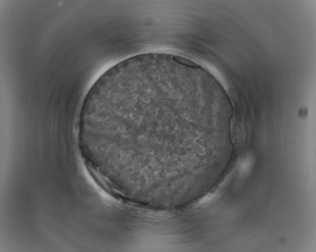 X0000091981007200709271423