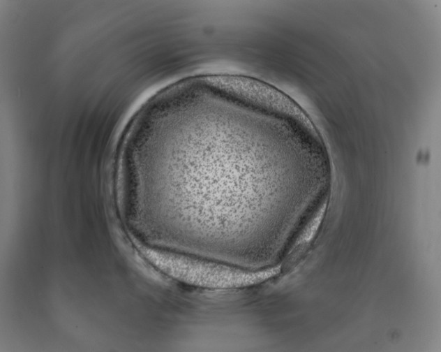 X0000091981008200709271423