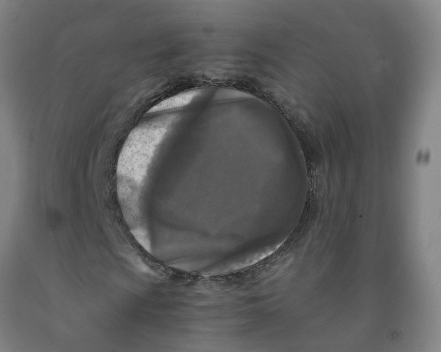 X0000091981009200709271422