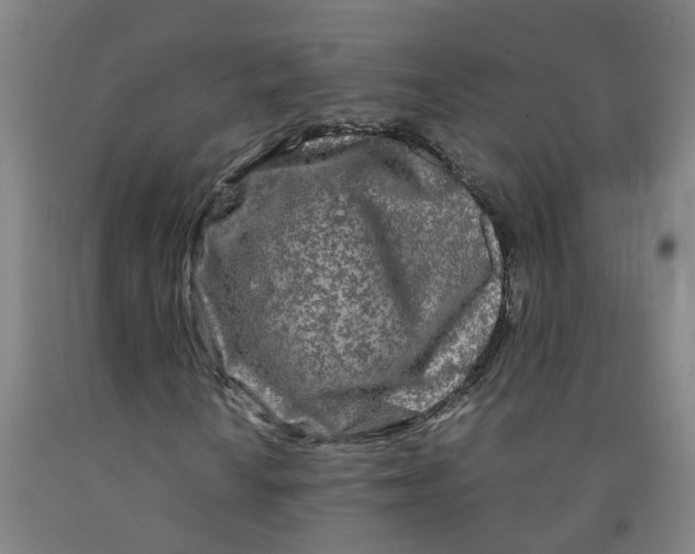 X0000091981010200709271423