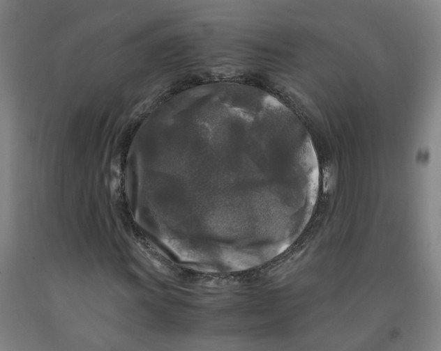 X0000091981011200709271423