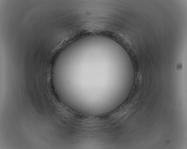 X0000091981012200709271423