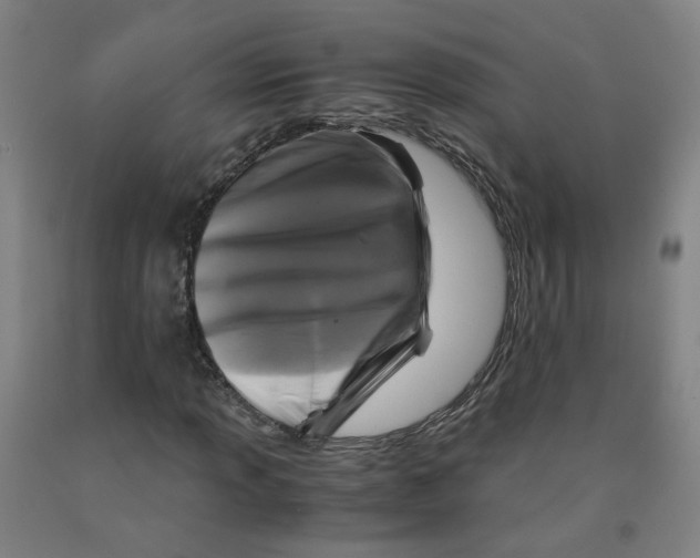 X0000091981013200709271423