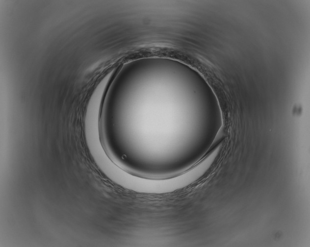 X0000091981014200709271423