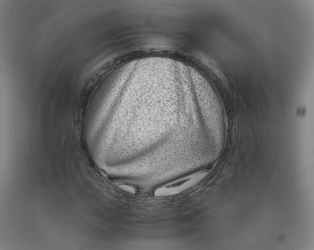 X0000091981015200709271423