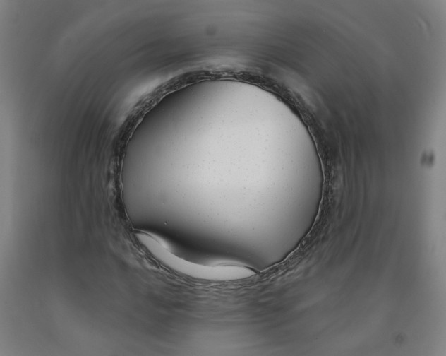 X0000091981016200709271423