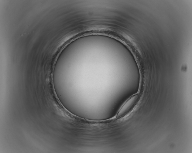 X0000091981017200709271423