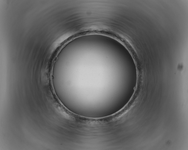 X0000091981018200709271423