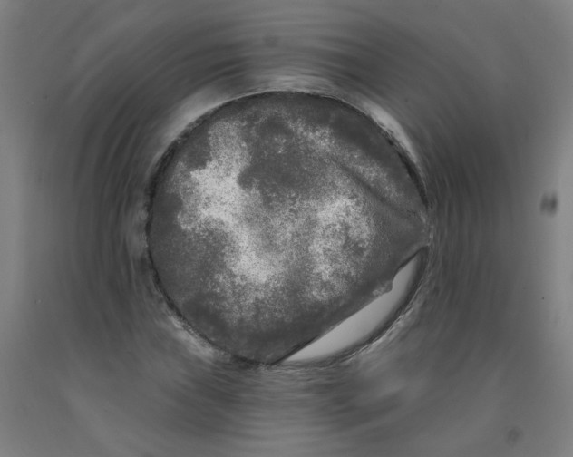 X0000091981019200709271423