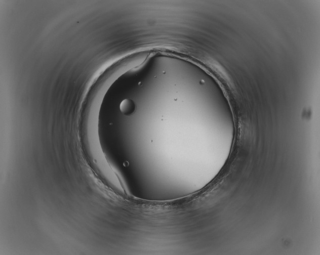 X0000091981020200709271423