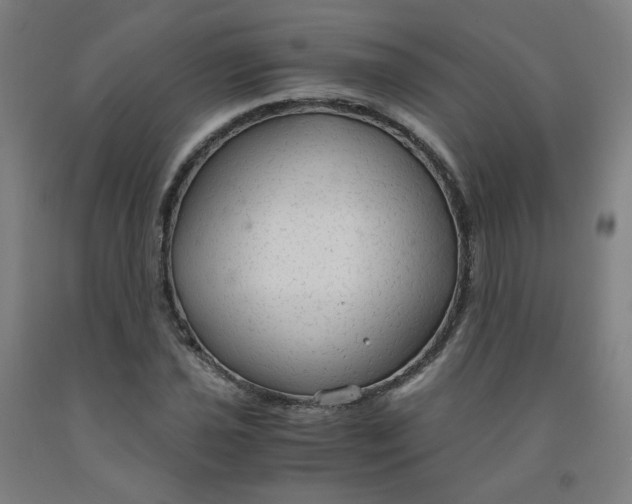 X0000091981021200709271423