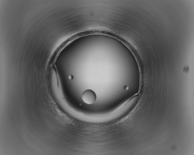 X0000091981022200709271423